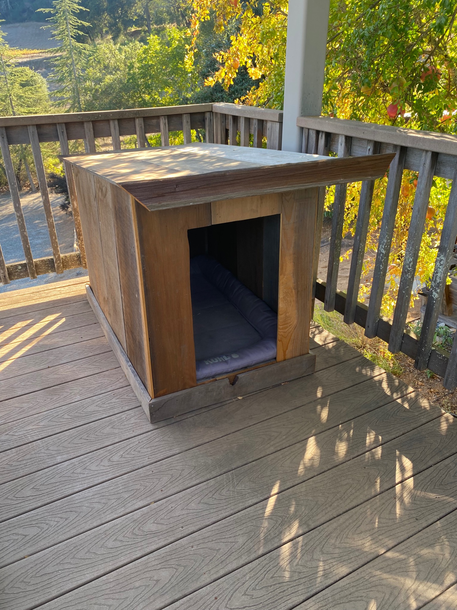 Layla’s custom wood house